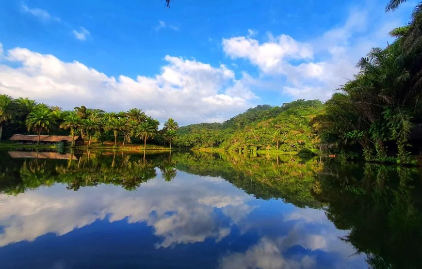 Magoroto Forest Reserve